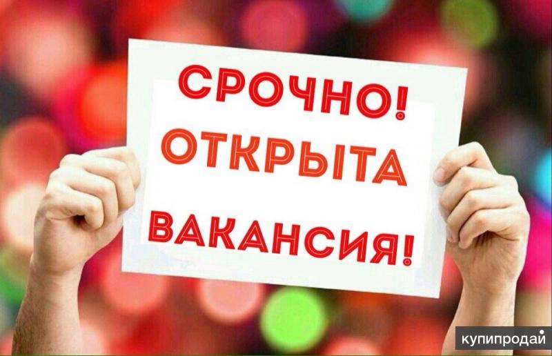 Помощник руководителя