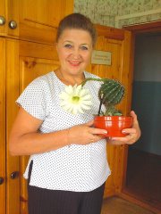 примем на постоянную работу юриста на договора