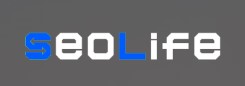 SeoLife - Раскрутка веб сайтов