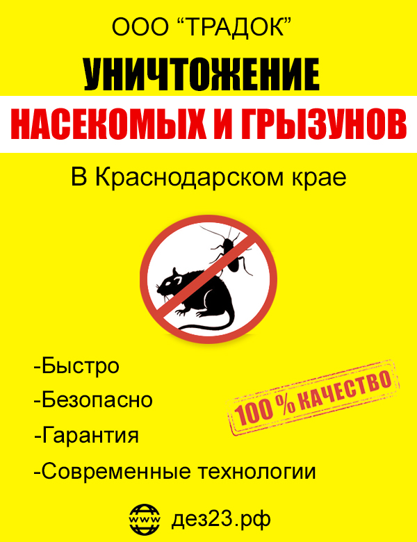 Уничтожение тараканов, клопов, мышей, с гарантией