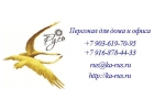 Услуги кадрового агентства