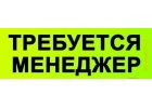 Менеджер без опыта работы