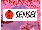 Кондиционеры SENSEI Харьков