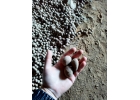 Семеннной картофель 3 от производителя