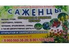 Плодово-ягодные насаждения