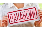 Номинальный директор, Временный директор, Курьер-регистратор