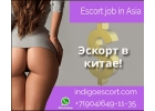 Работа в эскорте - ГОНКОНГ