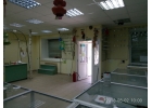 Торговое помещение в аренду на Луначарского - 80кв.м.