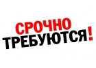 Легальное трудоустройство