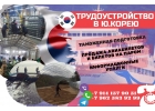 Проводим набор разнорабочих в Южную Корею
