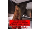 Срочно нужны девушки на работу в новые апартаменты
