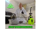 Уничтожение насекомых, грызунов, запахов, вирусов, плесени и др
