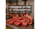 Оптовая продажа мяса говядины
